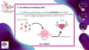 Conférence C.Jallat